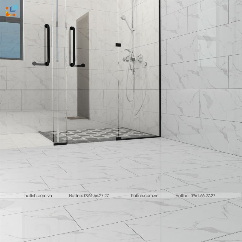 Ảnh Gạch Ấn Độ CSI36112 4