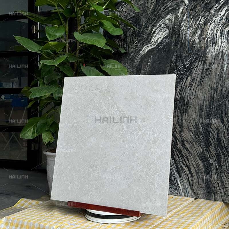 Ảnh Gạch Ấn Độ CSI88183 5