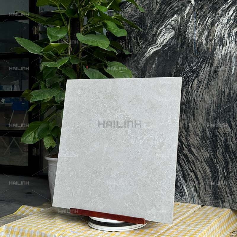 Ảnh Gạch Ấn Độ CSI88183 5