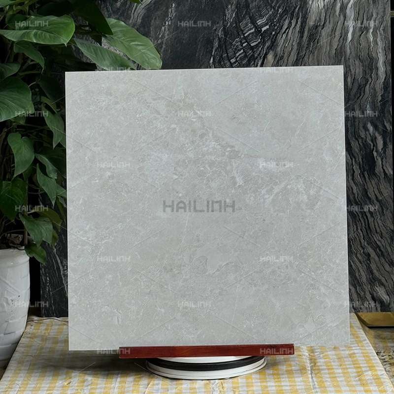 Ảnh Gạch Ấn Độ CSI88183 6