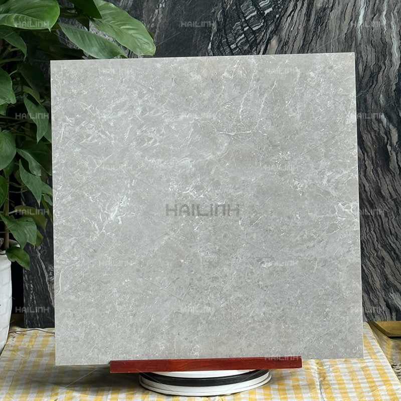 Ảnh Gạch Ấn Độ CSI88184 5