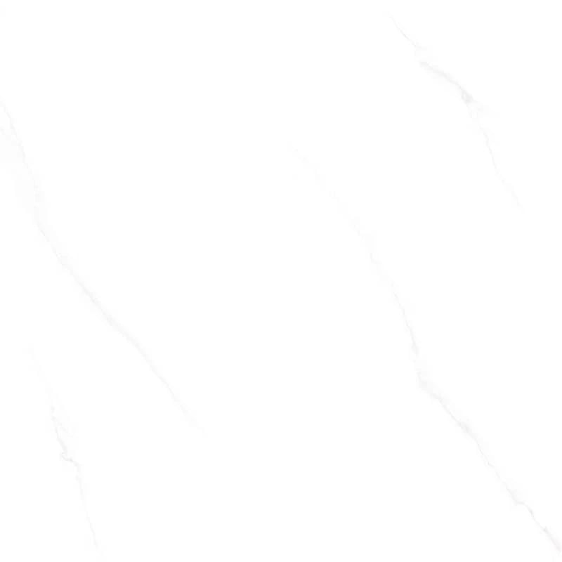 Ảnh Gạch CMC CPG66021S5 2