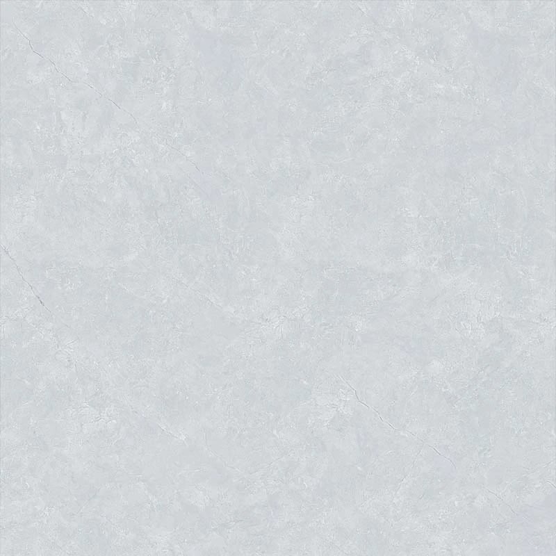 Ảnh Gạch CMC RPD11025S5 2
