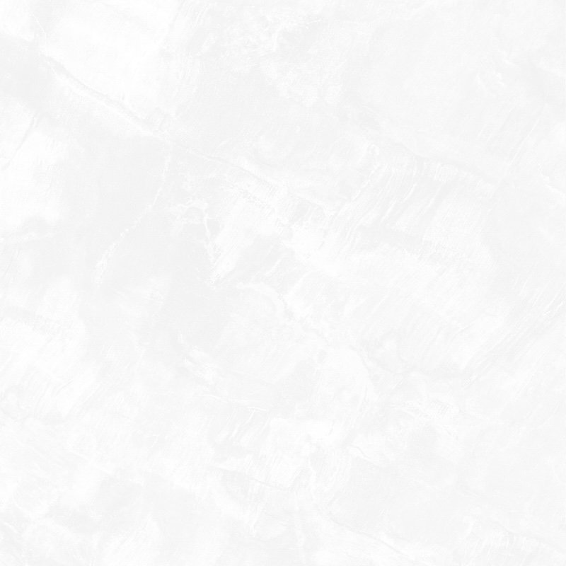 Ảnh Gạch Eurotile DNI S01P 2