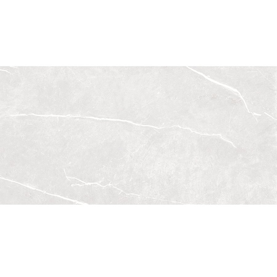 Ảnh Gạch HLG48024 6