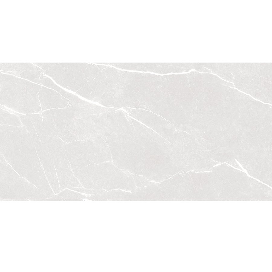 Ảnh Gạch HLG48024 4