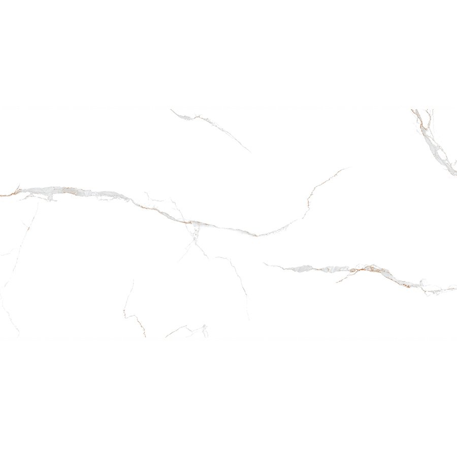 Ảnh Gạch HLG612014 3