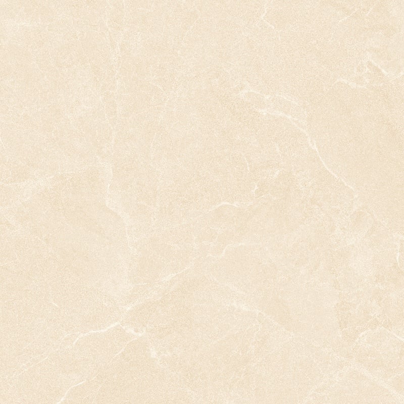 Ảnh Gạch HLG66006 3