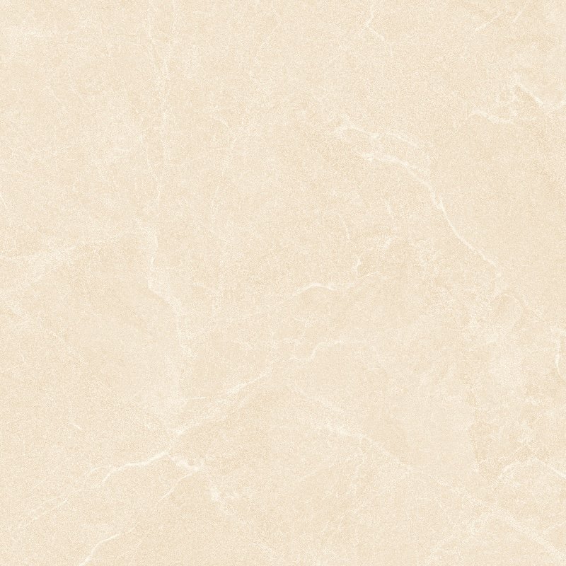 Ảnh Gạch HLG66006 3