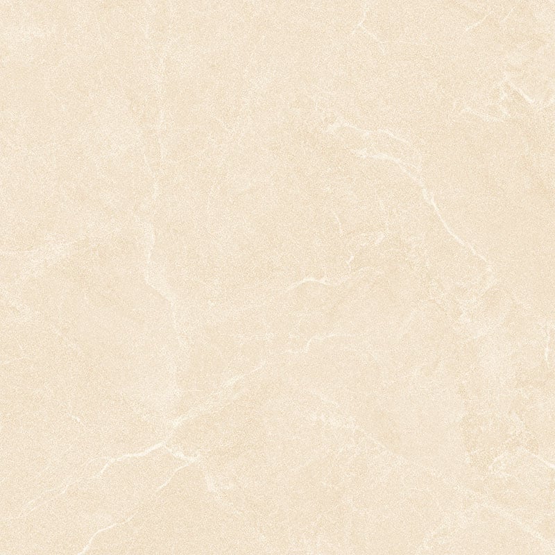 Ảnh Gạch HLG88004 4