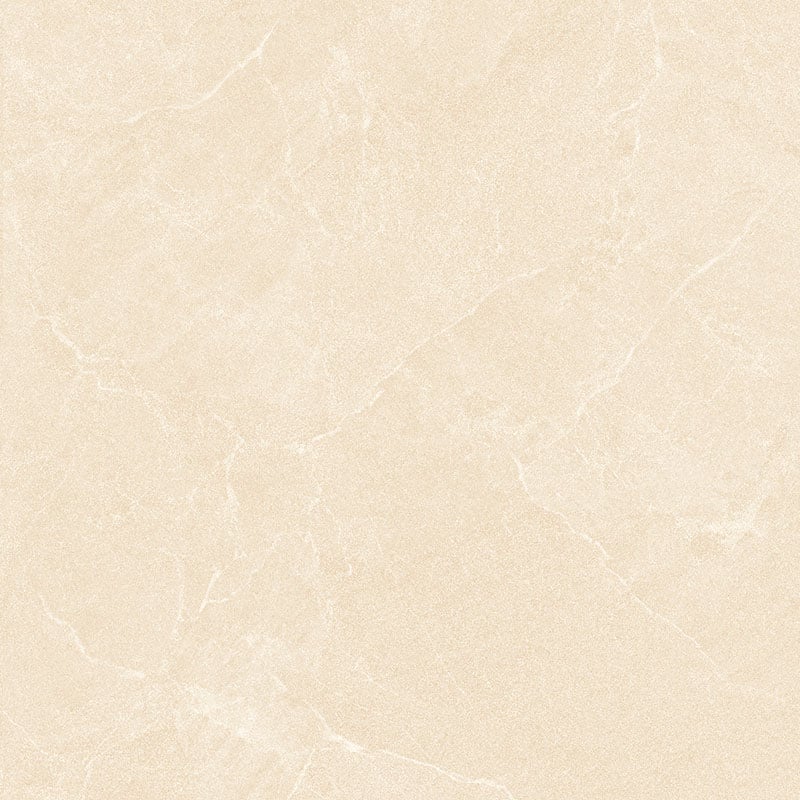 Ảnh Gạch HLG88004 2