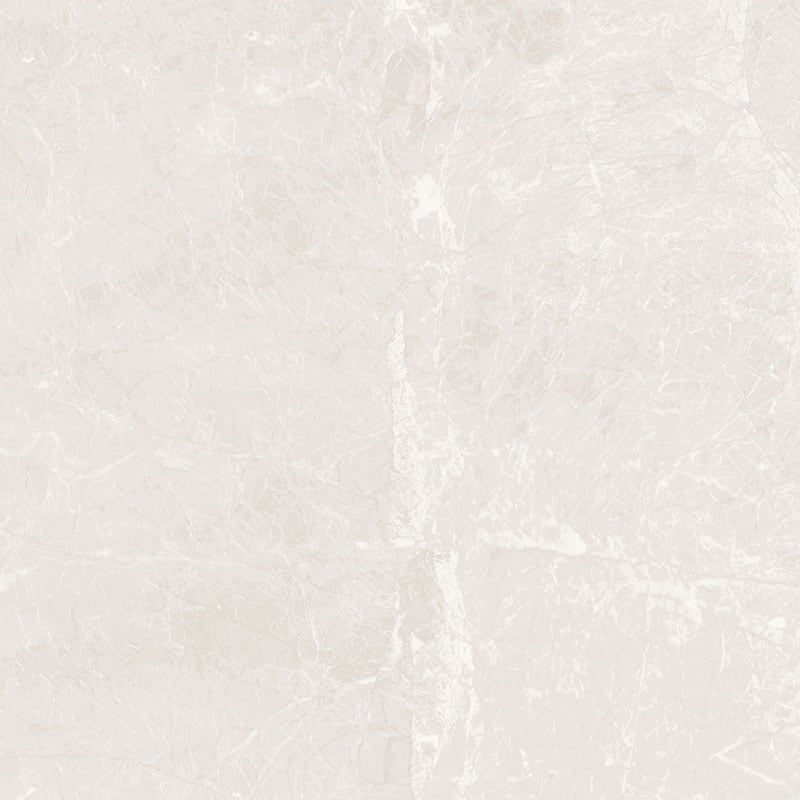 Ảnh Gạch HLG88019 11