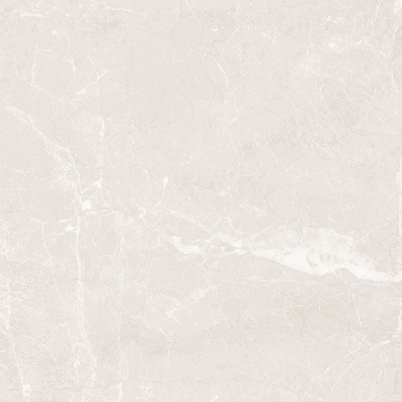 Ảnh Gạch HLG88019 3