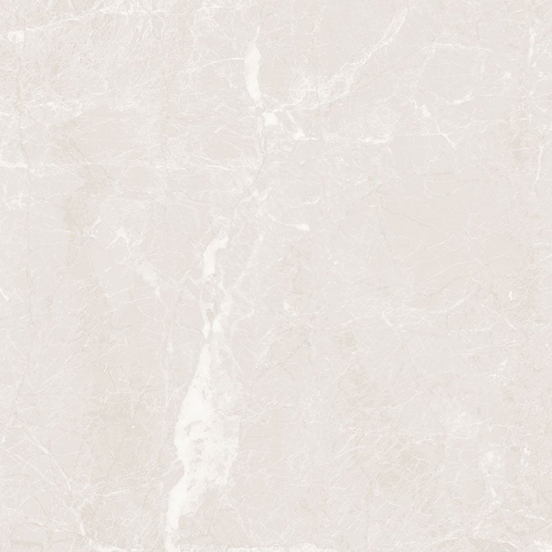 Ảnh Gạch HLG88019 7