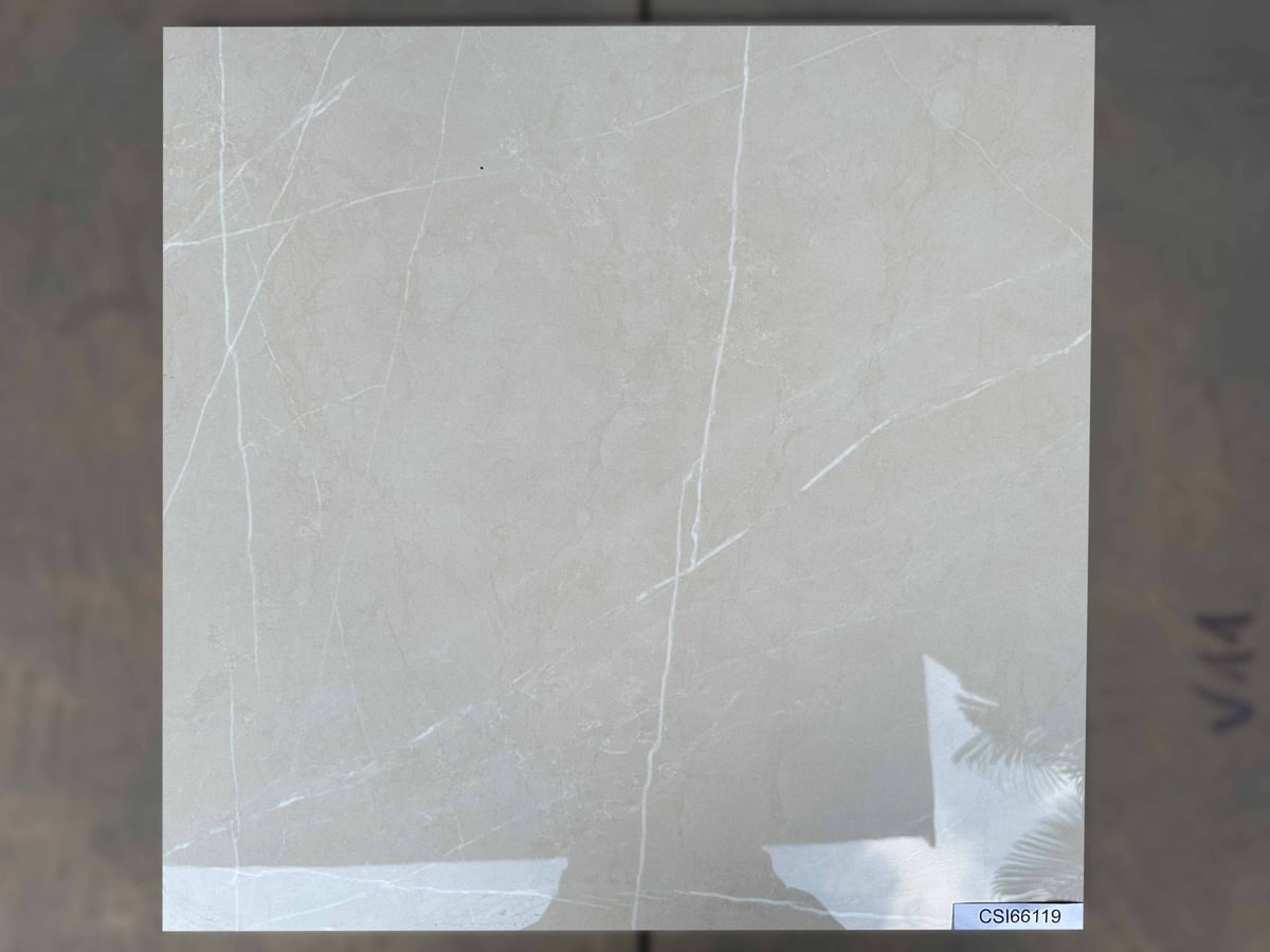 Ảnh Gạch Ấn Độ CSI66119 60x60 màu Beige 4