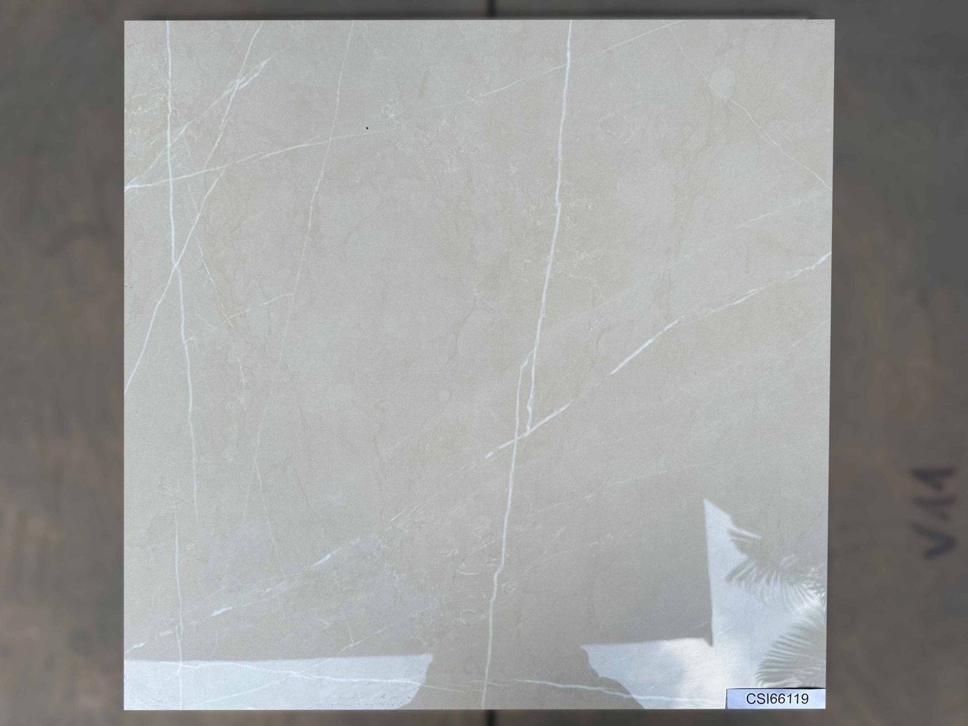 Ảnh Gạch Ấn Độ CSI66119 60x60 màu Beige 4