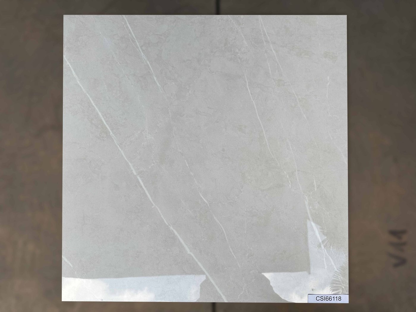 Ảnh Gạch Ấn Độ CSI66118 60x60 4