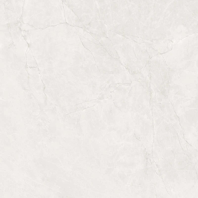 Ảnh Gạch Ấn Độ CSI100206B 6
