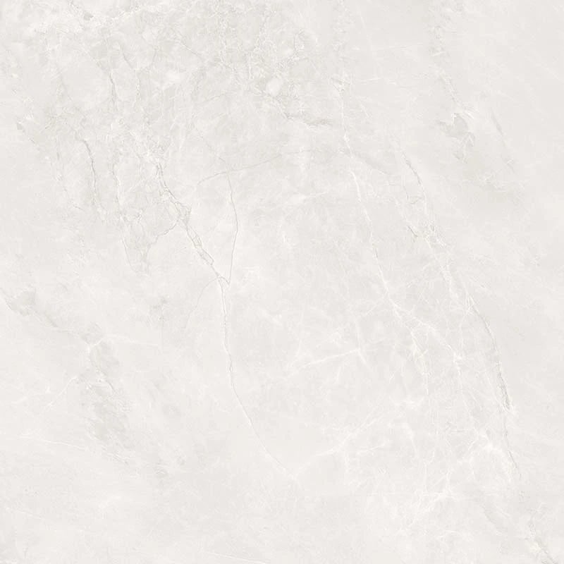 Ảnh Gạch Ấn Độ CSI100206B 4