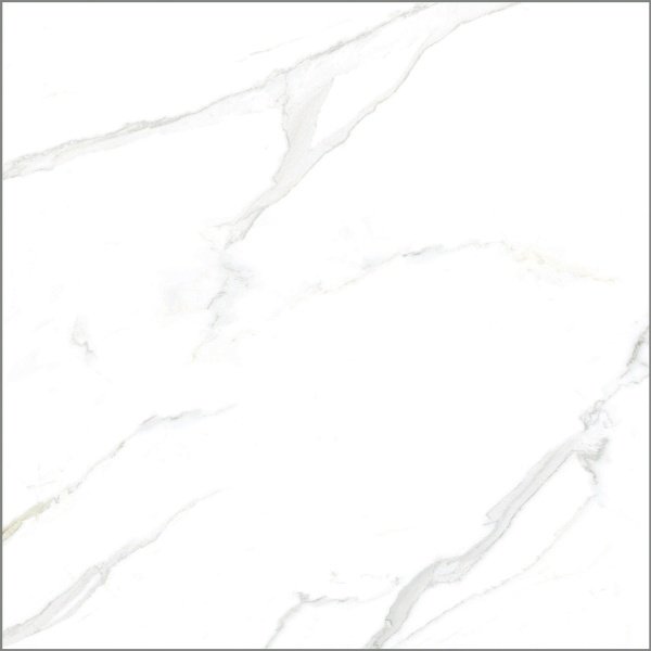 Ảnh Gạch Taicera GP88805J 80x80cm 2