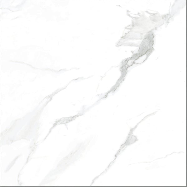 Ảnh Gạch Taicera GP88805J 80x80cm 3