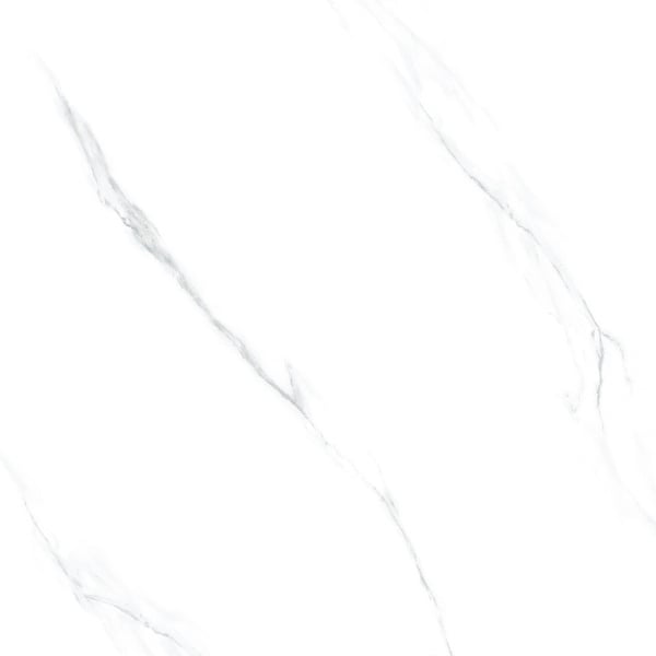 Ảnh Gạch Taicera GP98865J 2