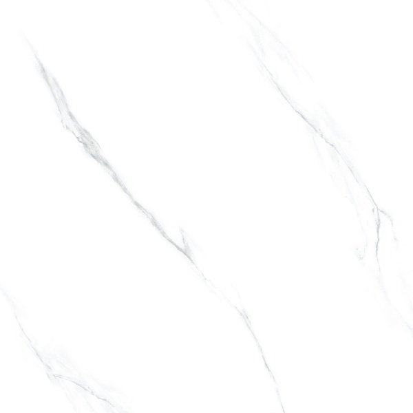 Ảnh Gạch Taicera GP98865J 2