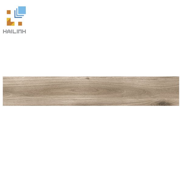 Ảnh Gạch Tây Ban Nha HL212132 4