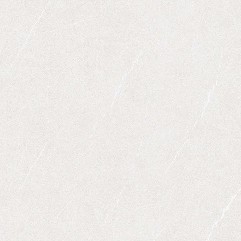 Ảnh Gạch Viglacera VHP6609 2