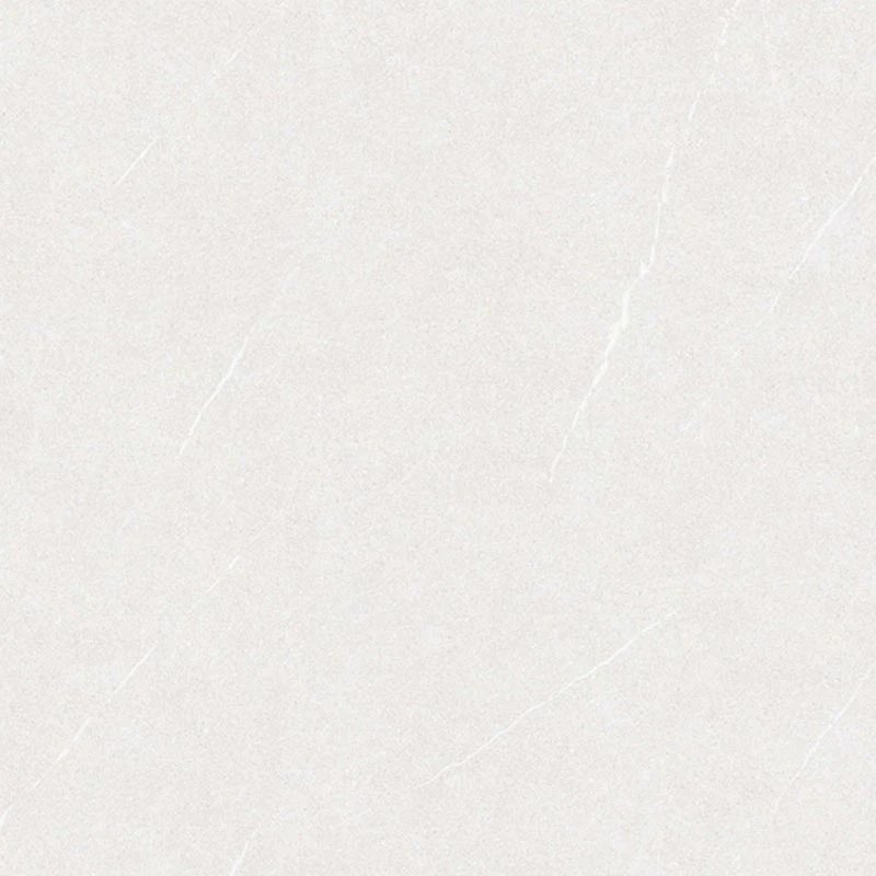 Ảnh Gạch Viglacera VHP6609 4