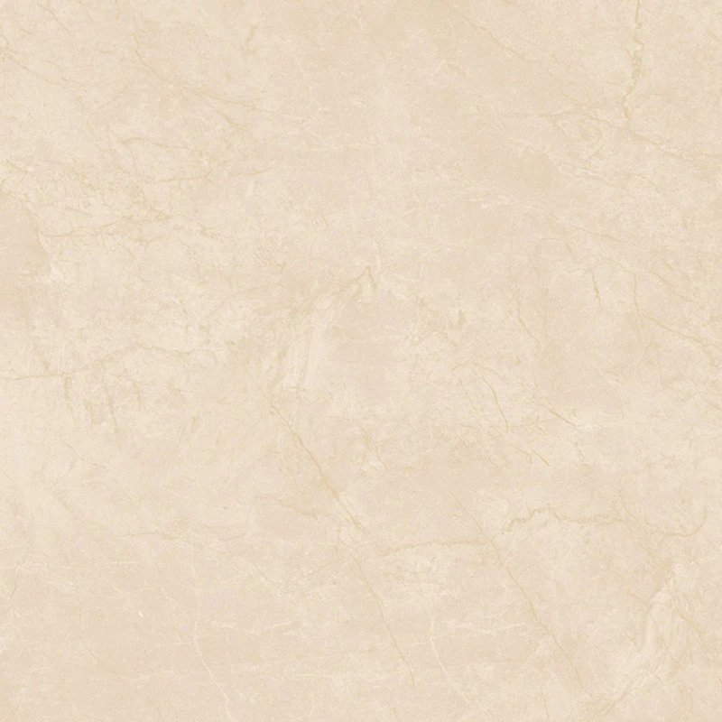 Ảnh Gạch Viglacera VHP8802 3