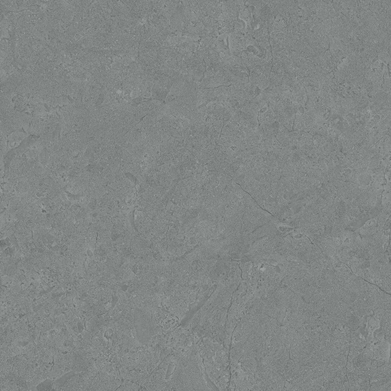 Ảnh Gạch Viglacera VHP8803 2