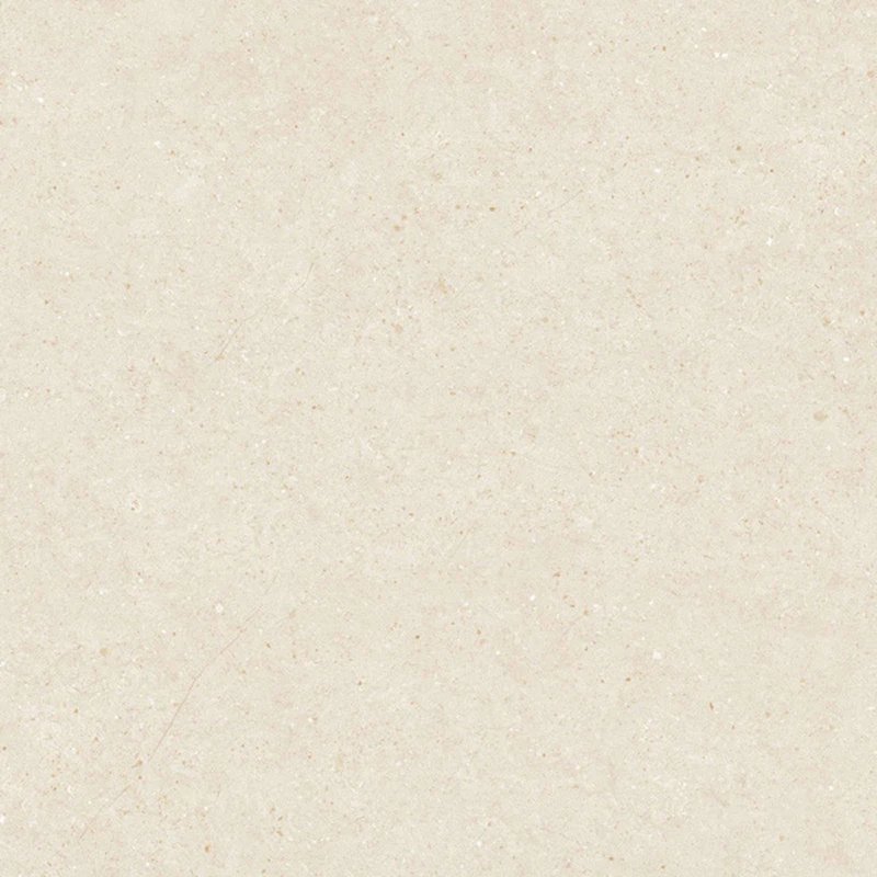 Ảnh Gạch Viglacera VHP8810 3