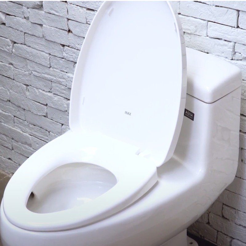 Ảnh Bồn cầu 1 khối Inax AC-4005VN 4