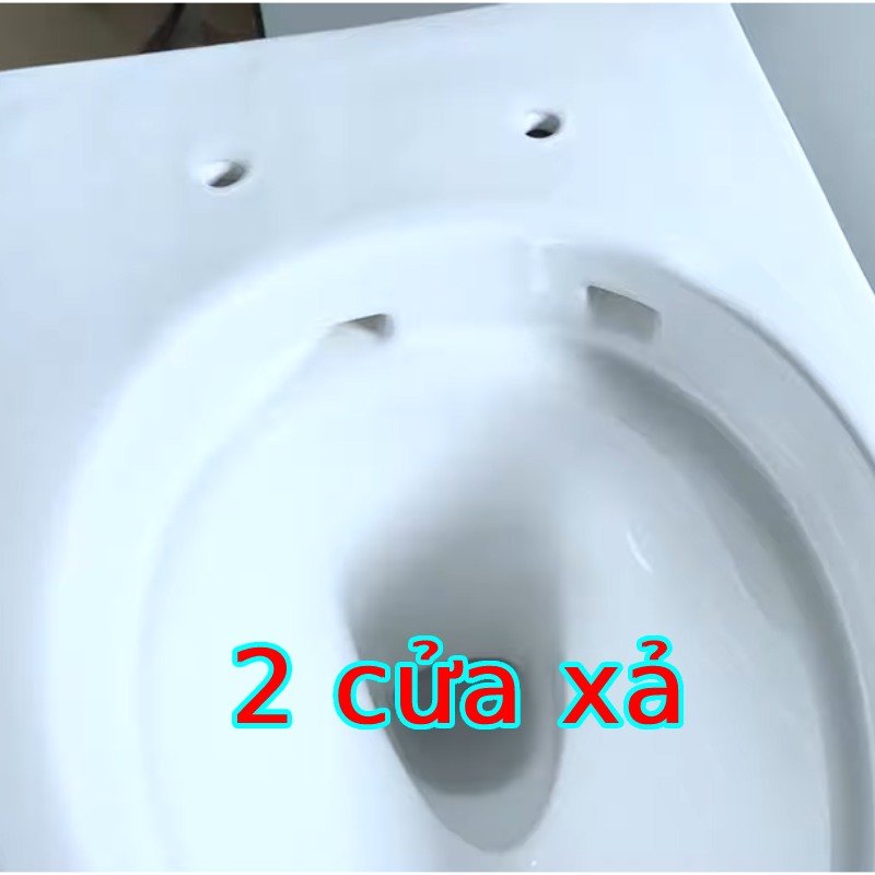 Ảnh Bồn cầu âm tường Inax AC-952VN 3