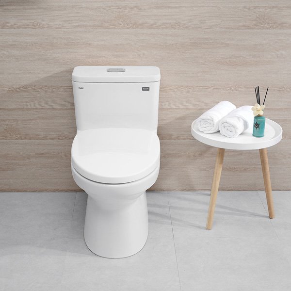 Ảnh Bồn cầu 1 khối inax AC-969VN 3