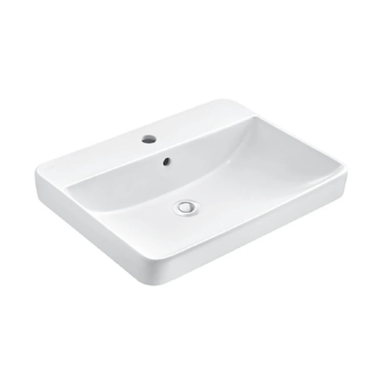Ảnh Chậu rửa dương vành Moen SW51561 3