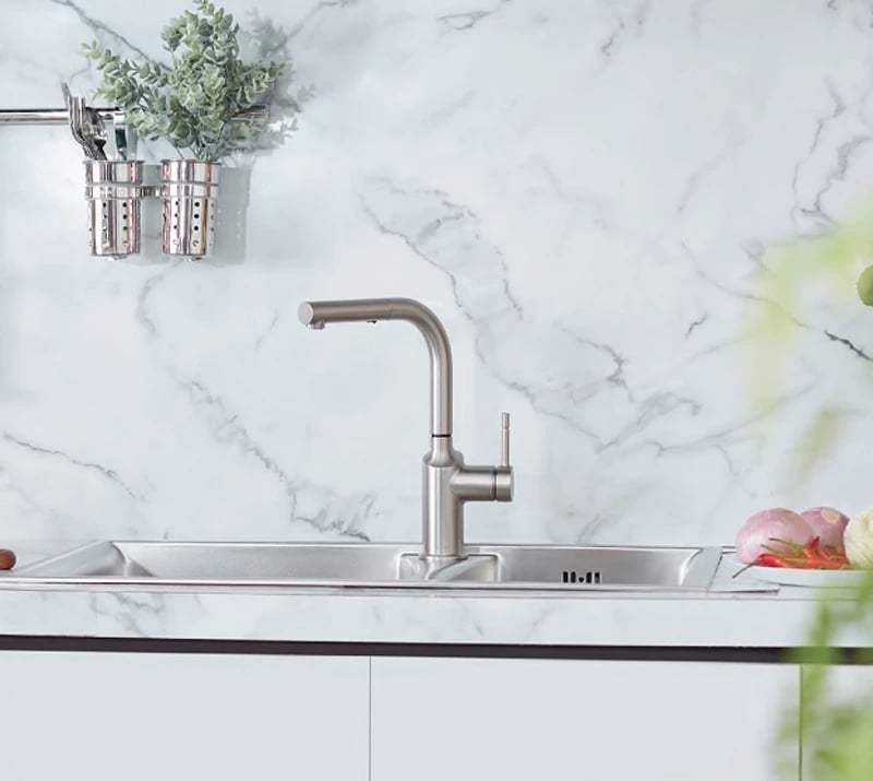 Ảnh Vòi rửa bát Moen GN67100-01 3