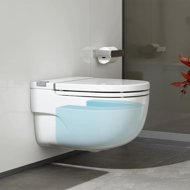 Ảnh Bồn cầu âm tường Roca A893301000 3