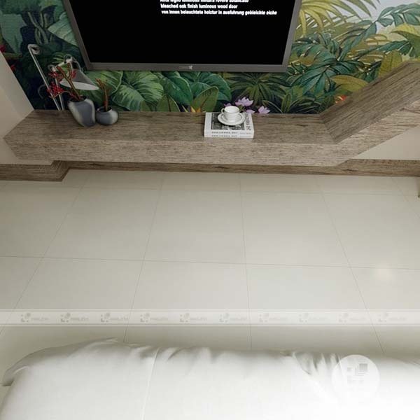 Ảnh Gạch Taicera P87763N 4