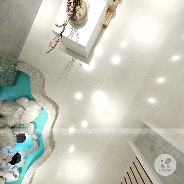 Ảnh Gạch Taicera P67208N 5