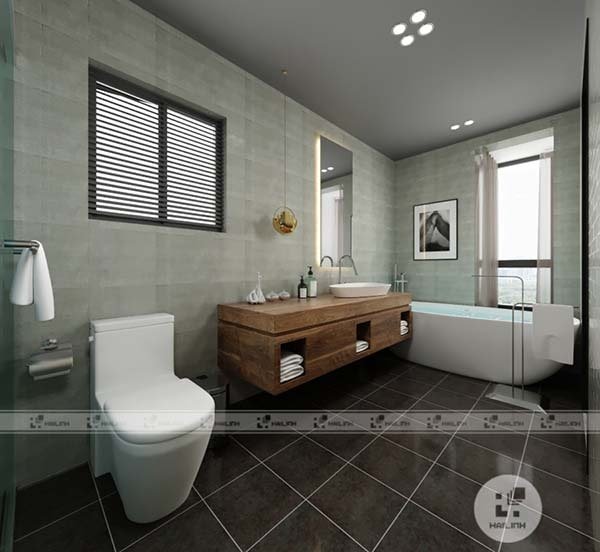 Ảnh Gạch Taicera GC600x298-113 2