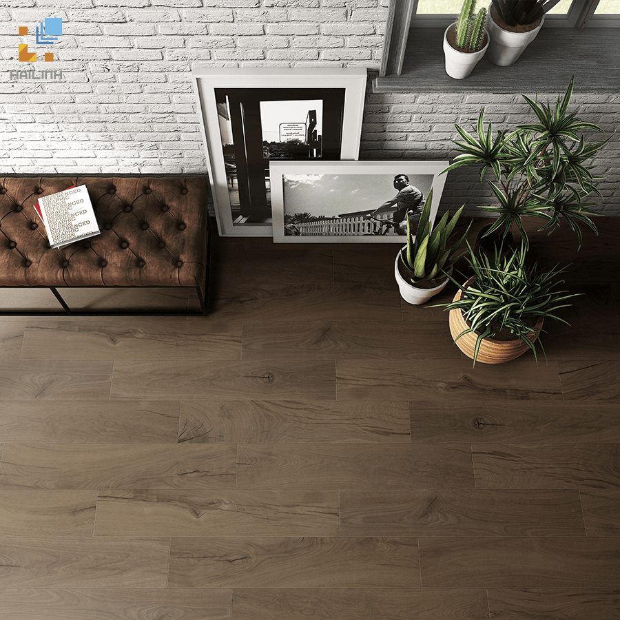 Ảnh Gạch Tây Ban Nha HL212133 2