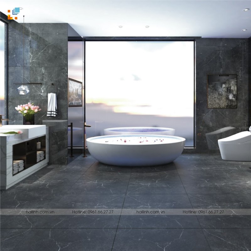 Ảnh Gạch Tây Ban Nha HL61286 5