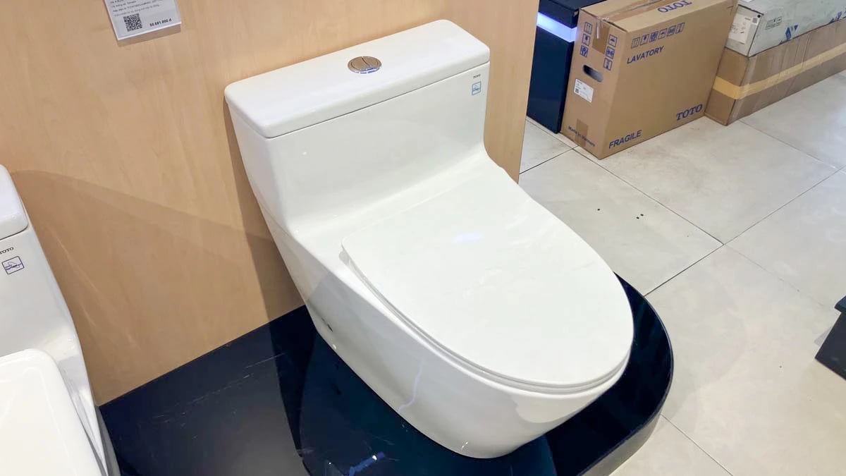 Ảnh Bồn cầu 1 khối TOTO MS625DT8 3