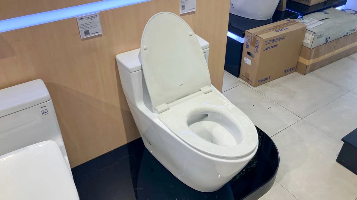 Ảnh Bồn cầu 1 khối TOTO MS625DT8 4