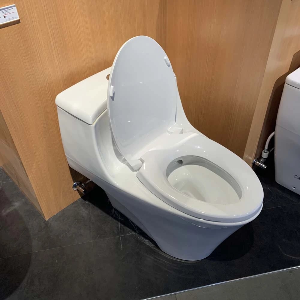 Ảnh Bồn cầu 1 khối TOTO MS823DRT2 4