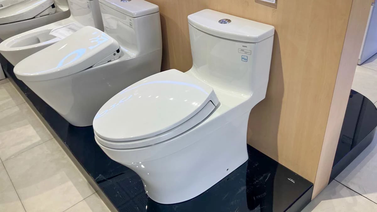 Ảnh Bồn cầu 1 khối TOTO MS885DT2 4