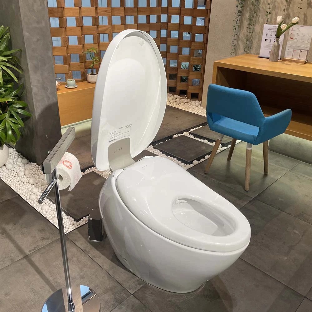 Ảnh Bồn cầu thông minh TOTO CS900VT/T53P100VR 3