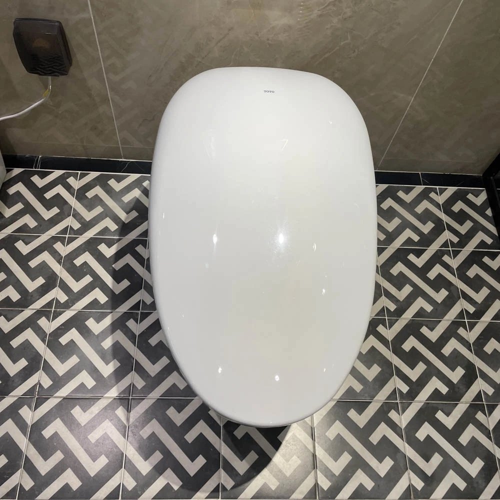 Ảnh Bồn cầu thông minh TOTO CS902VT/T53P100VR 4